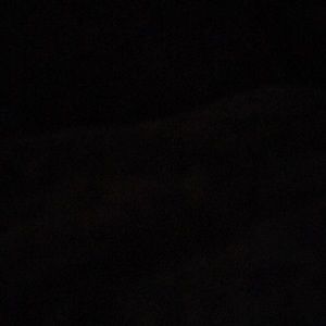 Meet your Posher, Terri